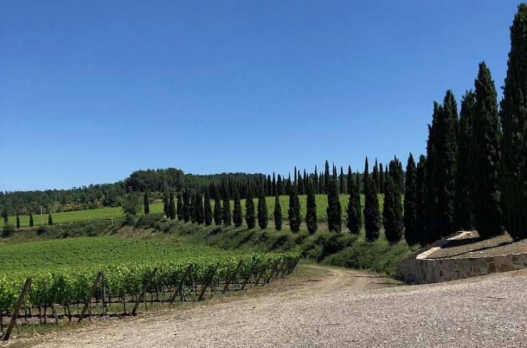 Brunello Poggio Altero